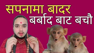 सपनामा बादर देखे के हुन्छ/dreams meaning monkey/shreeguru/sapnako fal/सपनाको फल