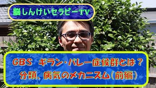 【脳セラTV】GBS ギラン・バレー症候群とは？前編・概要、分類、病気のメカニズム★病気の壁をふっとばせ！脳しんけいセラピーTV★わかりやすいギラン・バレー症候群シリーズ★在宅介護のヒント