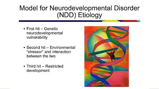 Enhancing Neurodevelopmental Resilience from Conception to Adulthood
