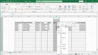 How to display Zip Codes, Telephone Numbers and SSN in proper format in Excel - Office 365