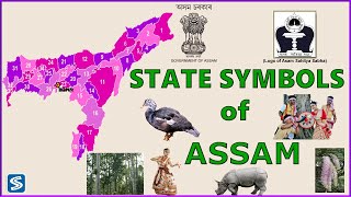 State Symbols of Assam || Assam state symbol || Know Your State - Assam