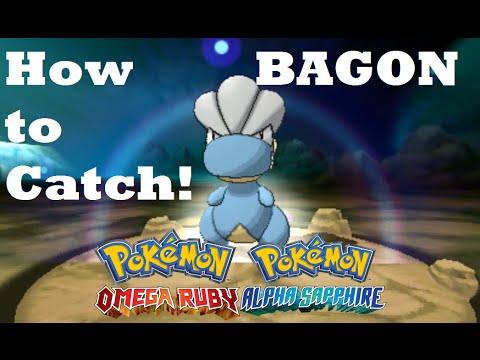 Pokemon Omega Ruby and Alpha Sapphire HOW TO CATCH/FIND BAGON IN METEOR FALLS! Pokemon Omega Ruby and Alpha Sapphire HOW TO CATCH/FIND BAGON IN METEOR FALLS!