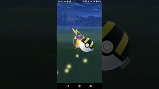 ん？『ライチュウが…』居たの？【ポケモンGO】#shorts #ゲーム実況 #ピカチュウ