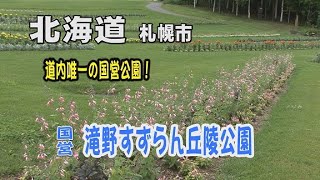 北海道で唯一!! 初夏の国営滝野すずらん丘陵公園