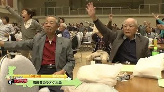 坂井さんちのこっしぇるじぇ平成28年11月5日更新