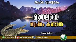 മുതലയെ സ്വപ്നത്തിൽ കണ്ടാൽ | If you see a crocodile in a dream | Swapna vyakyanam | Aslami Usthad