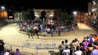 palio degli asinelli - Ollolai- Nu -