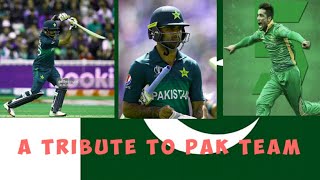Best Of Luck Pakistan Team For England | A tribute to Pakistan team