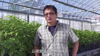 B02  林試所  牛樟種質復育園的建立