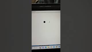 panda 🐼 || Drawing with python Turtle | programming coding #short