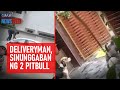 Deliveryman, sinunggaban ng 2 pitbull | GMA Integrated Newsfeed