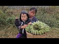 The biggest failure in the life of a 17-year-old single mother - Helen - Banana Harvest