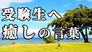 【モチベーション動画】受験生に送る癒しの言葉【受験生必見】