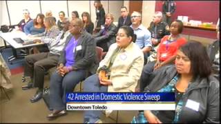Lucas County Domestic Violence Sweep