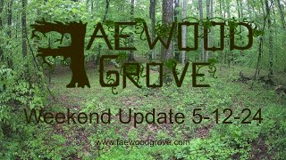 Faewood Grove Weekend Update 5-12-2024