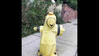Fun Firefighter facts#2 from Hyde Hydrant
