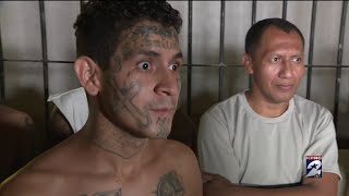KPRC2's Jacob Rascon shares a closer look at the deadly MS-13 gang