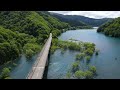 鎧畑ダム水没林