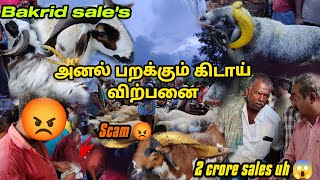 அனல் பறக்கும் கிடாய் விற்பனை💥திருமங்கலத்தில்    bakrid sale's last week 💯 scam 😡