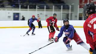 2018 Midget AAA All-Star Game Recap