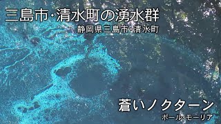 【日曜深夜名曲 vol.331】三島･清水町の湧水群 (静岡県三島市･清水町) | 蒼いノクターン (ポール・モーリア)