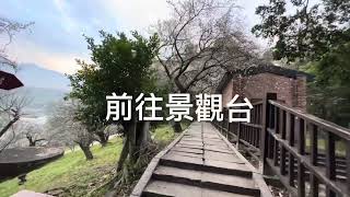 ￼ #嘉義梅山公園梅花￼#最新花況