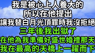 我是被心上人養大的，所以在他提出，讓我替白月光頂罪時我沒拒絕，三年後我出獄了，在他為我準備好盛世婚禮那天，我在最高的天橋上一躍而下！#枫林晚霞#中老年幸福人生#為人處世#生活經驗#情感故事#花开富贵