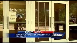 Caught on camera: Jewish temple in Wellington vandalized