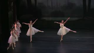 Elizabeth Meade - Swan Lake, \