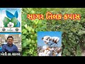 સાગર તિલક કપાસ l sagar tilaka kapash l બેસ્ટ કપાસ બિયારણ l ખેતી કા સાગર l mo.9428637911