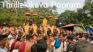 Sri Thiruvaraikkal Bagavathy Temple (Thrillekikavu) Pooram - 2022..