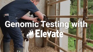 Semex ELEVATE® 2022