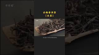 普洱生茶与熟茶的区别你知道多少？小白秒懂辨别方法!wechat: zcj049#普洱茶#茶知识#茶