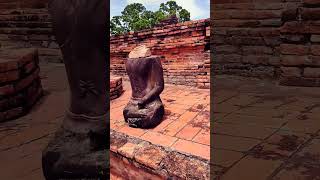 wat phra mahathat Ayutthaya #thailand #temple #shorts