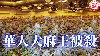 南加华人大麻场业主被杀，警方怀疑与墨西哥裔帮派相关；检察官称呼变性人不当被内部调查；十二岁女孩骑电动自行车意外身亡，家长状告制造商未警告；宠物受伤而未送医，华人热心人士涉虐待动物被逮捕