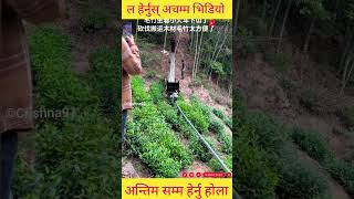 हेर्नुस् चाइनिज को दिमाख 😱 #nepal #ytshorts #viral 🙏🇳🇵