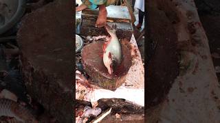 Wow!! Traditional Big Pangas Fish Cutting \u0026 Skinning Skills In Village 😱 #shorts