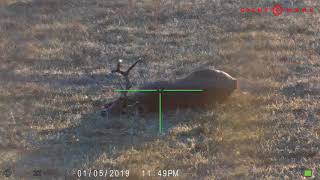 8 POINT WITH SIGHTMARK WRAITH