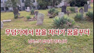 무덤 옆에서 잠을 자다가 꿈을 꾸게 되다 - 진도개와 꿈