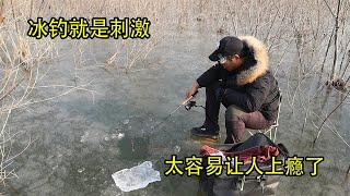 冰釣就是這麼刺激，上魚瞬間滿滿的成就感，真的容易讓人上癮！