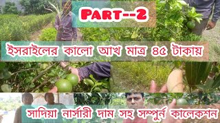 কালো আখ চারা মাত্র 45 টাকায়। থাই ভ্যারাইটির গাছের দাম ধরে ধরে দেখানো হয়েছে//Sadia nersary...