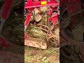 working in the field with the vervaet beet harvester