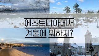 🇪🇪 에스토니아에서 겨울에 뭐하지? | 에스토니아 교환학생