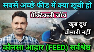 गाय भैंस को क्या खिलाने से दूध ज्यादा देती है बीमार नहीं होती Best Cattle Feed कैसा कौनसा Skylark