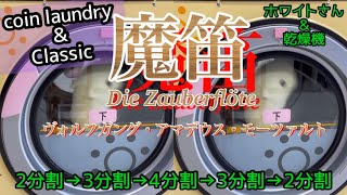 (・３・)～♪ 魔笛！ヴォルフガングホワイトさんの乾燥機(coin laundry)ダブル×ヴォルフガング・アマデウス・モーツァルト（Wolfgang Amadeus Mozart）