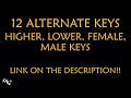 Mood Ring Karaoke - Lorde Instrumental Lower Higher Male Original Key