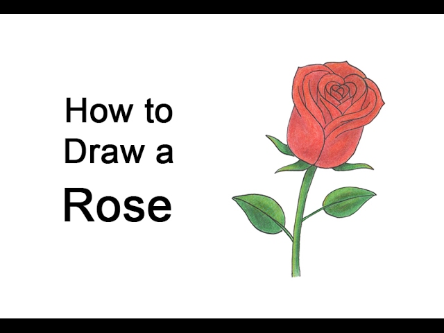 How To Draw A Valentine Rose Step By Step