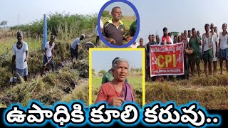 రెండు నెలలుగా ఉపాధి కూలీలకు అందని వేతనాలు