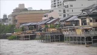 鴨川の増水で床が川床になる！