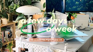 A few days a week. 23년 가을 며칠동안의 일상 기록 브이로그